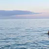 Ashleyoreilly28 - @ashleyoreilly28 - TikTok