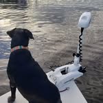 Ashley Ormond - @scooter.doot - Instagram