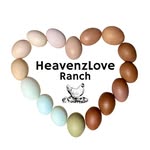 Ashley Osier - @heavenzloveranch - Instagram