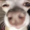 Ashley Ostrowski - @ashleyostrowski - TikTok