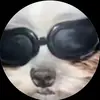 _ashley parra - @ashleyparra48 - TikTok