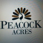 Ashley Peacock - @peacockacres - Instagram