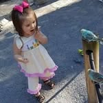 Ashley Peed - @falconsfan69 - Instagram
