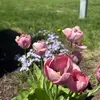 ashleyy - @ashley.pelaez - TikTok