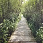 Ashley Pickard Colognesi - @a.p.colognesi - Instagram