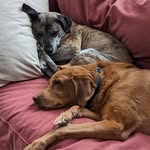 Ashley Pieper Follett - @ashleypieperfollett - Instagram