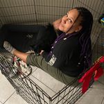 Ashley Pippin - @she_love_bees - Instagram