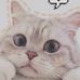 Ashley Plowman - Facebook