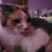 Ashley Pranke - Facebook
