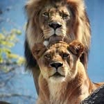 ashleyprashad - @ashleyprashad2001 - Instagram