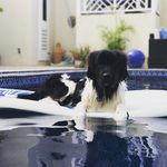 Ashley Pressler - @ashpress - Instagram