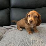 Ashely Prestige - Facebook