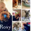 Ashley Pretorius - @ashlyn0601 - TikTok