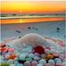 Ashley Pretorius - Facebook