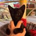 Ashley Pretorius - Facebook