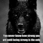 Ashley Prill - Facebook