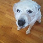 Ashley Primer - @brideofskankenstein - Instagram