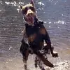 ashleyprimmer488 - @ashleyprimmer488 - TikTok