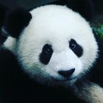 Ashley pruden - @pruden899 - Instagram