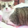 Ashley Valencia Puerta - @yayitopuerta1612 - TikTok