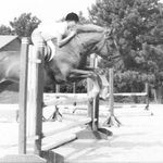 Ashley K. Puleo - @akp_equestrian - Instagram