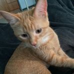 Ashlie Pulsipher - Facebook