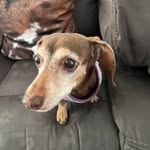 Ashley Rahn - @a.r.assistance - Instagram