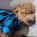 Ashley Regier - Facebook