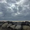 ashleyregollar - @ashleyregollar - TikTok