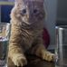 Ashe Rafeld - Facebook