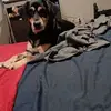 Ashley Reichert - @ashleyreichert31 - TikTok