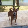 Ashley Rein590 - @ashley_south - TikTok