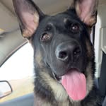 Ashley Reisinger - @ashleyreisinger - Instagram
