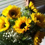 Ashley Renfrow - @ashley3636 - Instagram