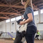 Ashley Hoedel Renwick - @hoes_hounds - Instagram