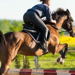 ashley repka - @jumping_with_horses_149 - Instagram