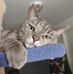Ashleigh Restivo - Facebook