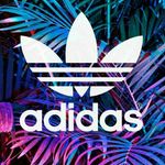 ashlee retzlaff - @ashlee_retzlaff1234 - Instagram