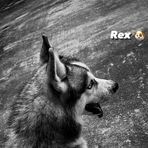 Ashley Rex - Facebook