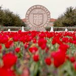 Ashley Rodgers & Justin Rex - @texastechphoto - Instagram