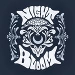 Ashley Reynolds - @nightbloomjewelry - Instagram