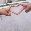 Fans_De Kimberly Loaiza - @ashleyreza2 - TikTok