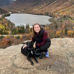 Ashley Rhodes - @ashleyrhodesdesign - Instagram
