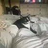 Ashley Ricci - @ashley.ricci3 - TikTok