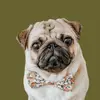 Ashley Risner - @atoastypug - TikTok
