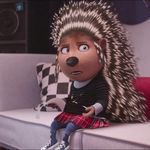 Ash Porcupine - @_ashley_rocker_ - Instagram