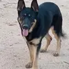 Rodney Ashley - @rodney.ashley00 - TikTok