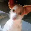Ashley_roscoe - @roscoe.ashlee - TikTok