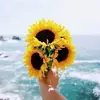 ashleYsabel21 - @ashleysabel21 - TikTok