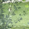 Ashlee Salisbury - @user4907294604513 - TikTok
